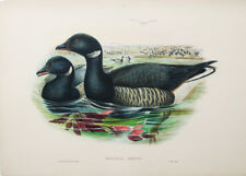 Original hand colored for sale  East Dennis