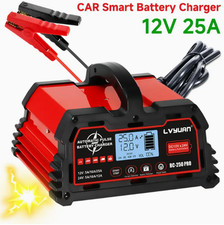 25a 12v 24v for sale  WAKEFIELD