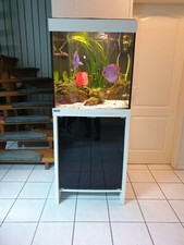 Aquarium eheim scuba gebraucht kaufen  Bremen