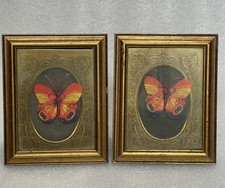 Pair vintage butterfly for sale  Lincoln