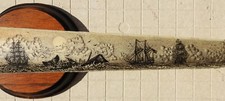 Swordfish bill scrimshaw for sale  Middletown
