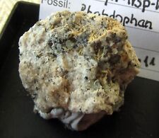 N24 hauynkristalle noesan gebraucht kaufen N24 hauynkristalle noesan gebraucht kaufen  Dinslaken