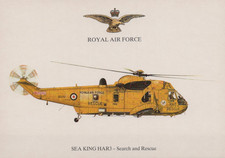 Raf squadron print for sale  PRESTON