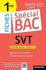 Spécial bac fiches d'occasion Spécial bac fiches d'occasion  France