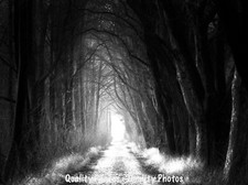 Secret journey path for sale  Brookings