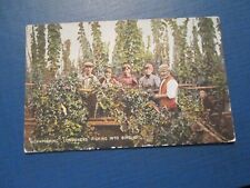Postcard hop picking for sale  MABLETHORPE