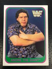 Andre the giant usato  Roma