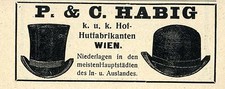 Habig wien hof gebraucht kaufen  Hamburg