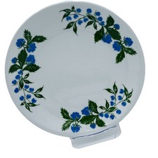 Pagnossin treviso wht for sale  Charlton