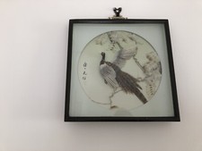 Picture chinese pheasant for sale  UK