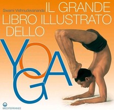 Grande libro illustrato usato  Roma