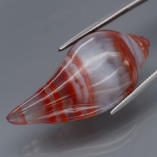 59,54 ct. incrível natural GIGANTE MULTICOLORIDO ágata México (escultura em concha) comprar usado  Enviando para Brazil