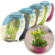 Moerings patio pond for sale  IPSWICH