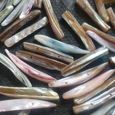 Drilled abalone shell for sale  UK