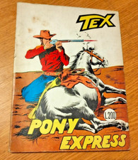 Tex willer pony usato  Torino