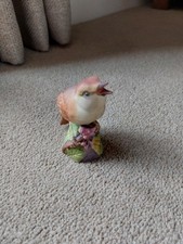 nightingale bird for sale nightingale bird for sale NORTHAMPTON