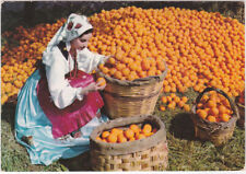 Costumi siciliani arance usato  Isola Vicentina