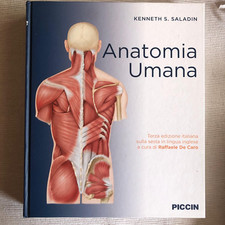 Anatomia umana terza usato  Casaleone