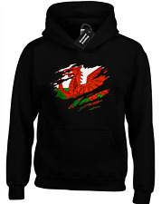 Welsh flag slash for sale  MANCHESTER