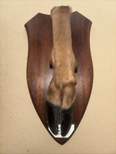Quantock staghounds deer for sale  LONDON