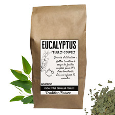 Eucalyptus feuilles coupées d'occasion  Lhuis