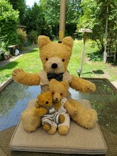 Lovely family vintage for sale  ASHFORD