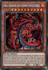 Sacred beasts deck d'occasion  Expédié en Belgium