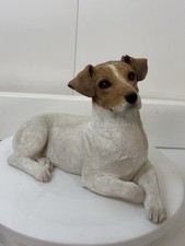 Jack russell terrier for sale  NORWICH