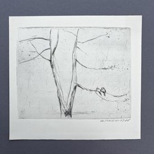 Arno mohr vögel gebraucht kaufen  Berlin