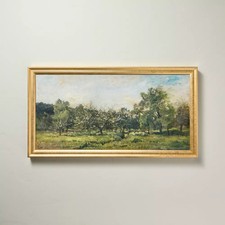 X30 panoramic landscape for sale  USA