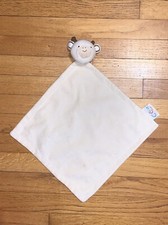 Cocalo baby giraffe for sale  Boaz