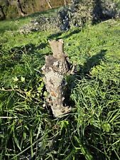 Legno ulivo olivo usato  Sesto Fiorentino