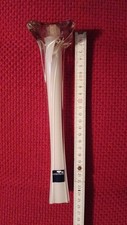 Leonardo vase gebraucht kaufen  Essenbach
