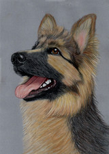 Original color pencil for sale  SOUTHSEA