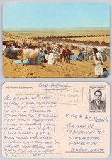 Cartão postal c36278 bronzeado Le Moussem Marrocos selo 1974 comprar usado Cartão postal c36278 bronzeado Le Moussem Marrocos selo 1974 comprar usado  Enviando para Brazil
