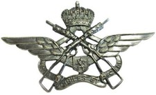 Armée belge insigne d'occasion  France