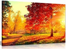 Autumn scene trees for sale  LONDON