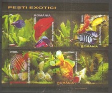 Goldfisch zierfische 2005 gebraucht kaufen  Leipzig