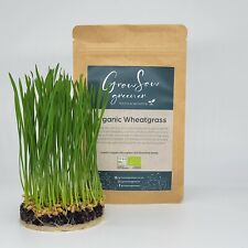 Wheatgrass seeds organic for sale  KINGSBRIDGE