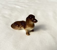 Lomonosov miniature dog for sale  ELY