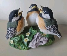 Peter barrett birds for sale  BURTON-ON-TRENT