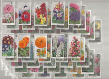 Garden flowers 1933 for sale  WALTHAM CROSS
