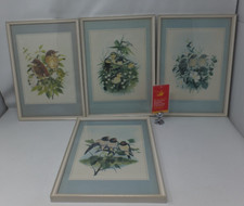 Peter hayman bird for sale  STEVENAGE