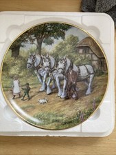 Shire horse display for sale  BARNSTAPLE