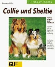 Collie sheltie richtig gebraucht kaufen  Berlin