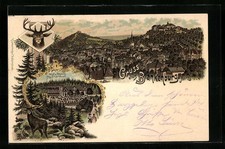 Lithographie blankenburg harz gebraucht kaufen  Berlin