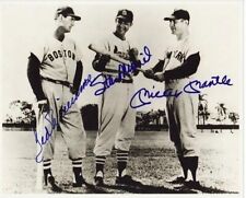 Ted williams stan for sale  USA