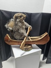 Gray canoeing squirrel for sale  Saint Marys