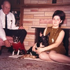 Couple dogs boston for sale  Carlsbad