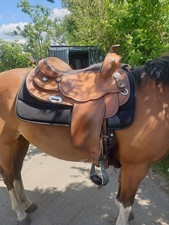 equiflex gebraucht kaufen equiflex gebraucht kaufen Schönwalde